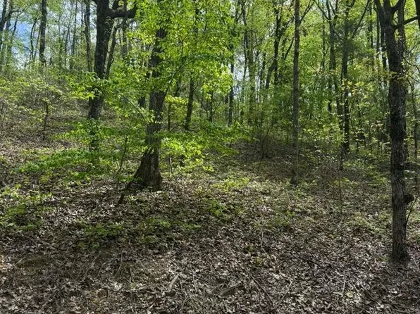 Vicki Dr #13, Mc Calla, AL 35111