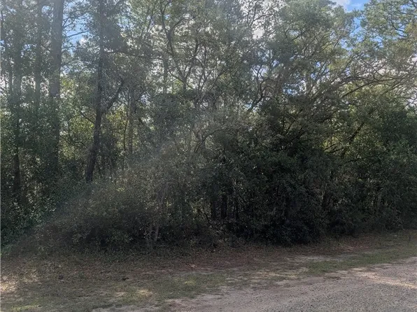 8791 N Folland Dr, Citrus Springs, FL 34433