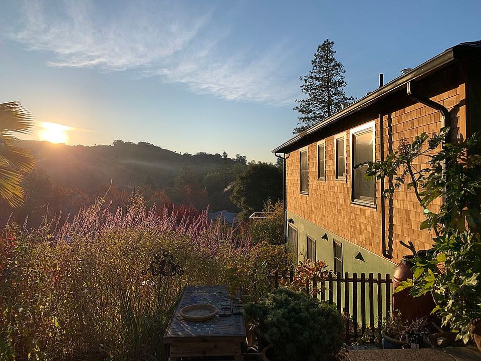 Backyard views