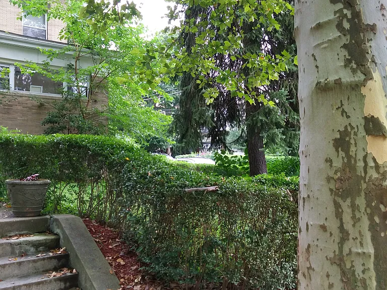1100 N Negley Ave #8 — Photo 17