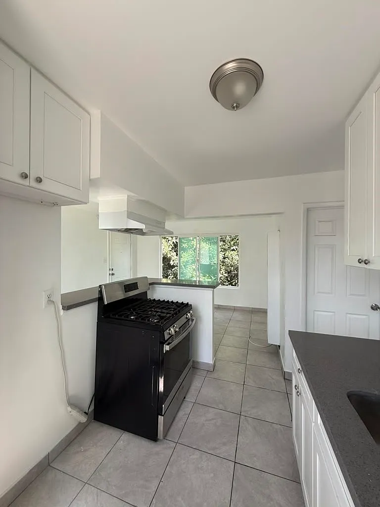 1 bed, 440 sqft, $1,800 — Photo 4