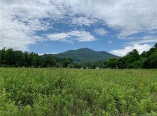 99999 Beaverdam Loop Rd, Candler, NC 28715