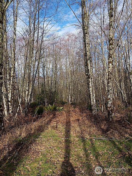 5th image of 0 0 Salmon Creek Road #0