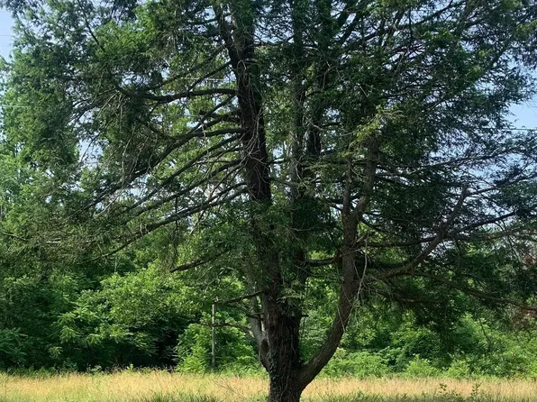 11900 Post Oak Rd, Spotsylvania, VA 22551