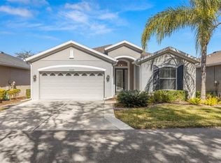 29149 Cochiti Lake Dr, San Antonio, FL 33576