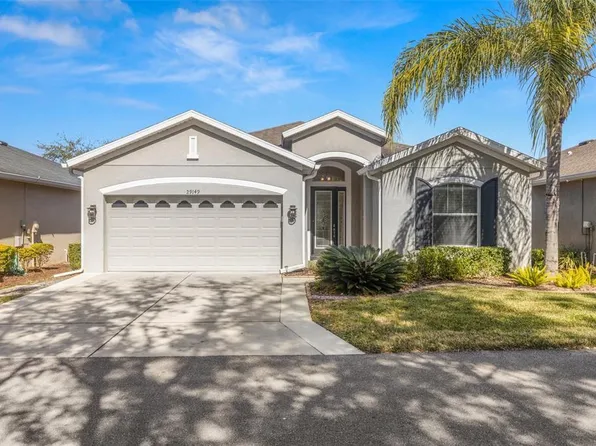 29149 Cochiti Lake Dr, San Antonio, FL 33576