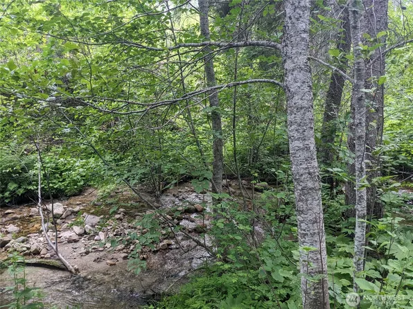 0 TBD BIA Road #56, Nespelem, WA 99155