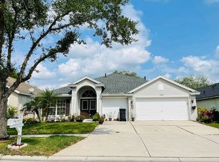 10535 San Travaso Dr, Tampa, FL 33647