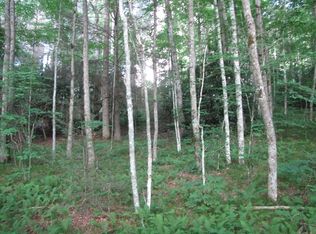 0 Wilderness Way, Hayesville, NC 28904