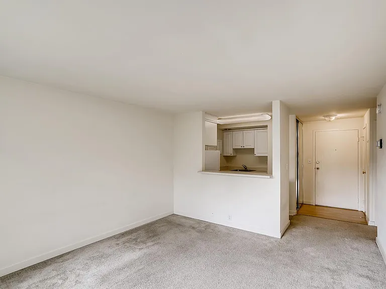 Skyline House — Photo 7