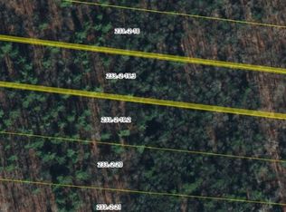 0 Schlafer Rd #19, Bainbridge, NY 13733