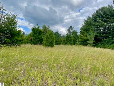 969 & 987 Quail Dr SW, Kalkaska, MI, 49646