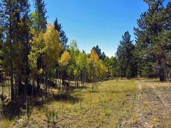 619 Beaver Creek Dr, Florissant, CO 80816