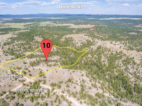 26666 Winchester Rd, Custer, SD 57730