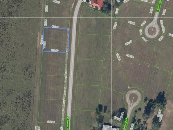 824 Woodmont Street, Sebring, FL 33876