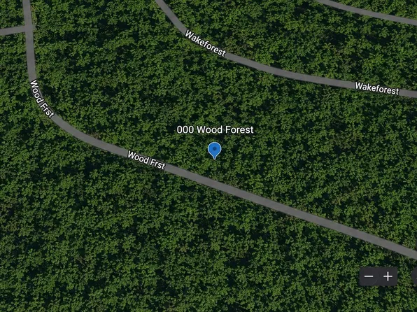 Lots 465 And 466 Wood Frst Lot 465 & 466, Livingston, TX 77351