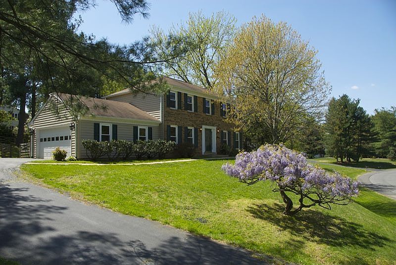 Front view