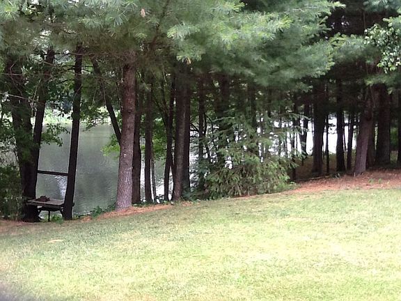 Pond view