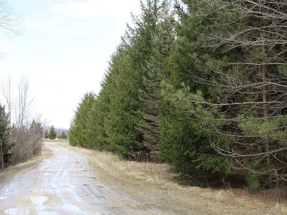 2nd image of Lot 1 County Line Road