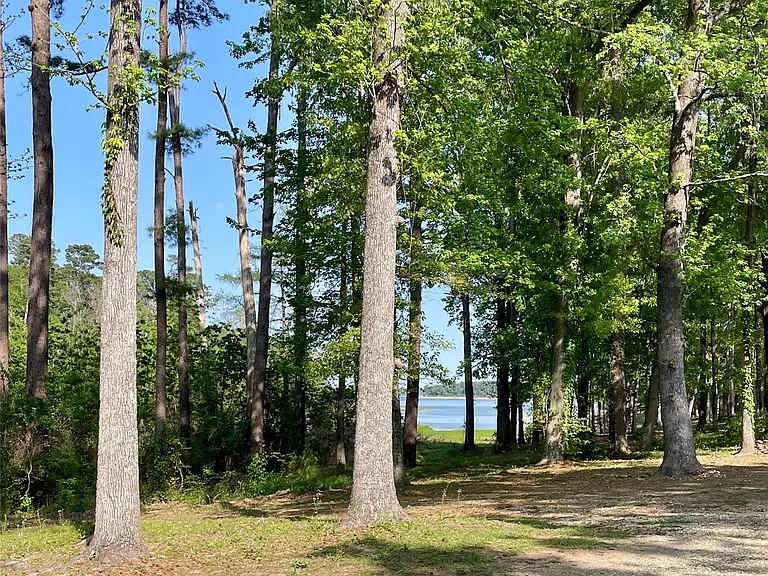 5972 State Highway 147 — Photo 12
