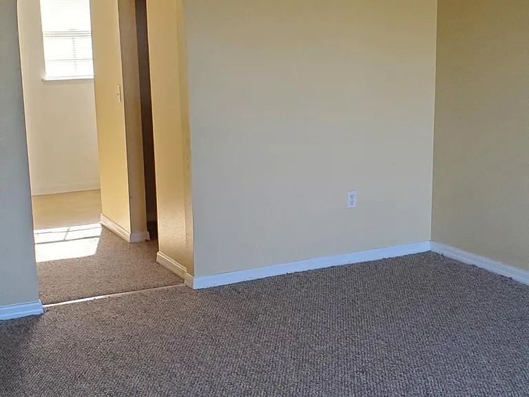 1707 Corner Meadow Cir — Photo 21