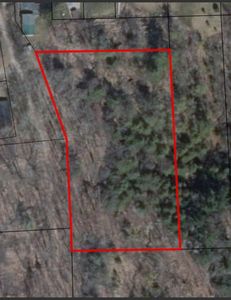 Cat Lake Hills Rd, Mayville, MI, 48744