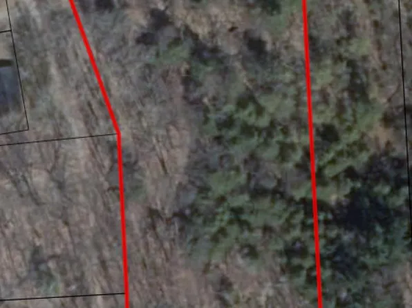 Cat Lake Hills Rd, Mayville, MI 48744