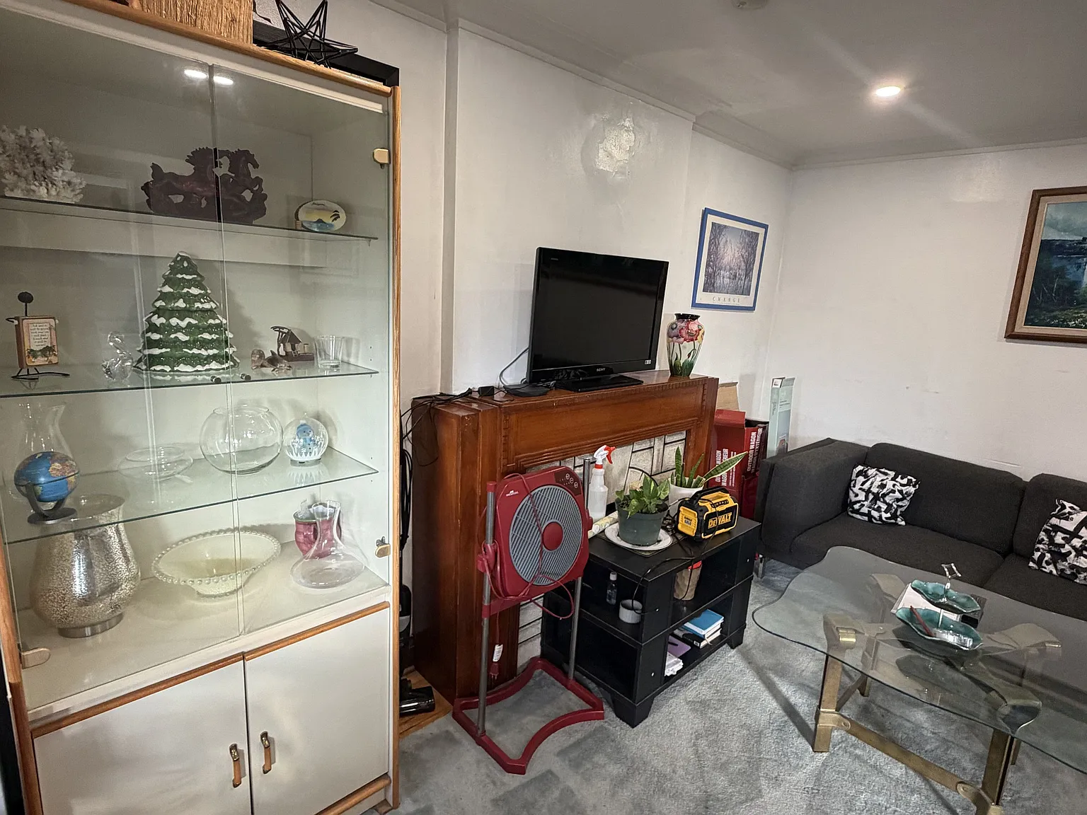 1 bed, $750 — Photo 3