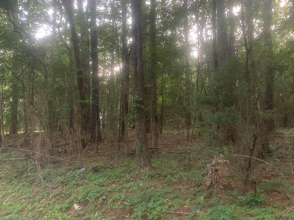 2nd image of LOT 16 Bank St