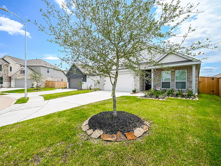 26811 Tree Mallow Dr — Photo 26