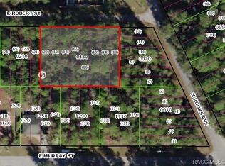 3378 E Robert St, Inverness, FL 34453