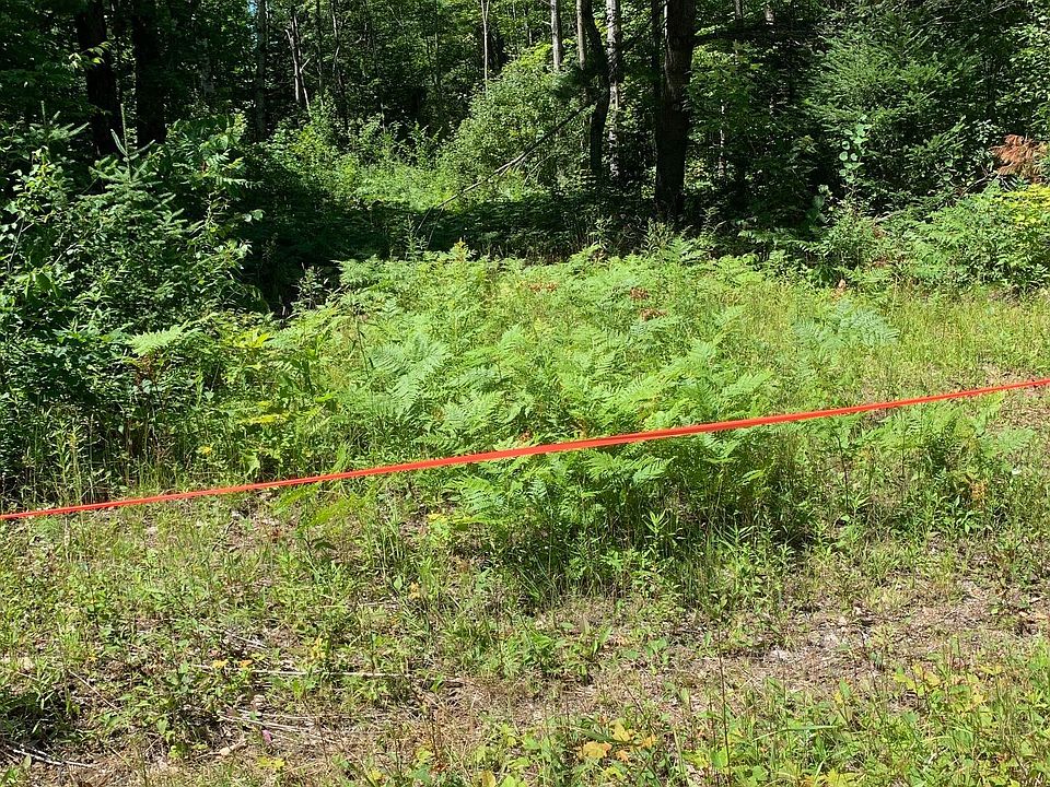 2nd image of 4225 Southwood Rd