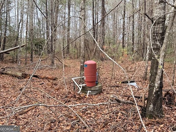 4th image of 470/510 Ivey Farms Rd