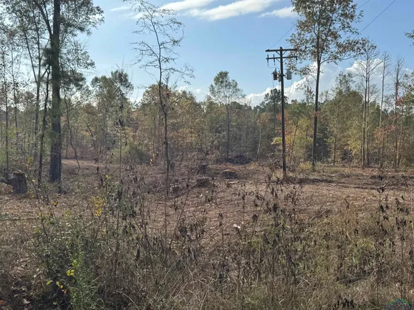 LOT 2 County Road 4108 W, Henderson, TX 75654