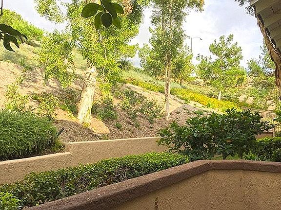 back greenbelt view 2