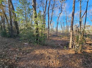 4 Sherwood Dr Lot 1, Shepherd, TX 77371