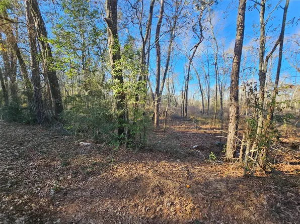 4 Sherwood Dr Lot 1, Shepherd, TX 77371