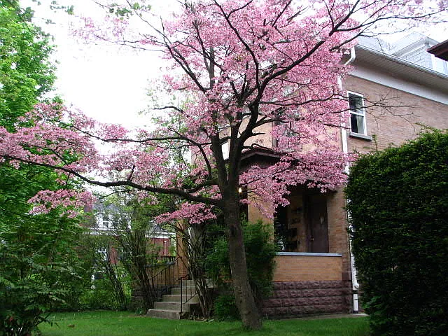 1128 Milton St #2 — Photo 2
