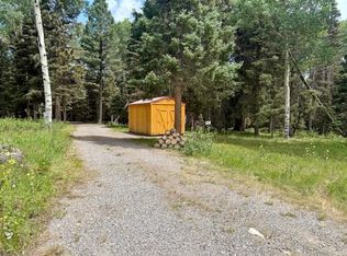 450 Hazel Lake Dr, Cimarron, CO 81220