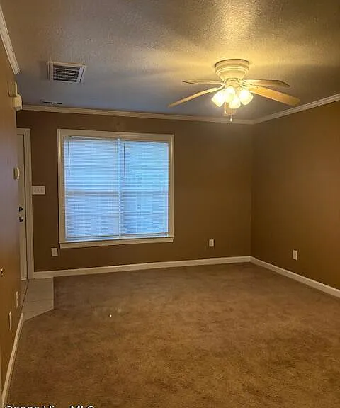 907 Springwood Dr — Photo 5