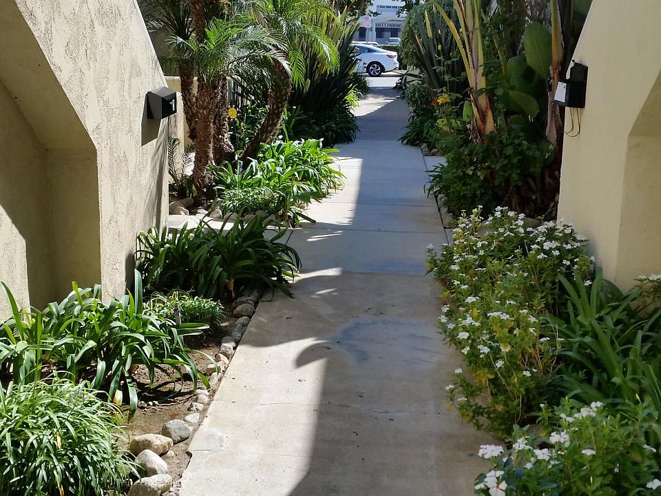 Walkway from rear of building