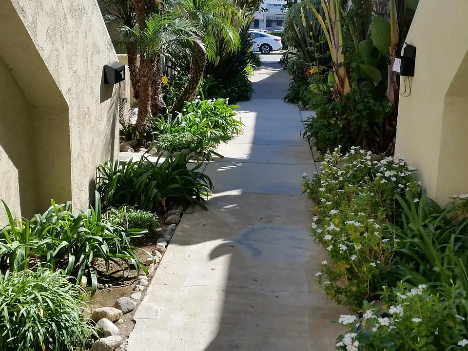 Walkway from rear of building