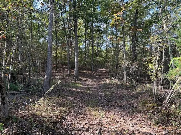 240 Kaw Ct, Annapolis, MO 63620