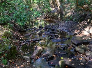 20 N Lula Forrest Trl, Rising Fawn, GA 30738