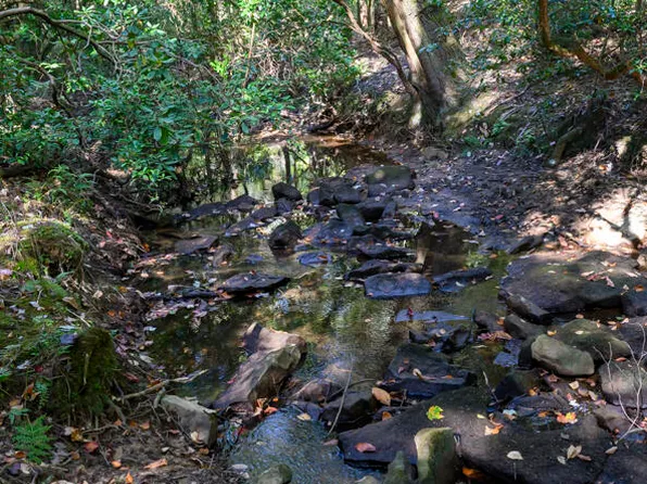 20 N Lula Forrest Trl, Rising Fawn, GA 30738