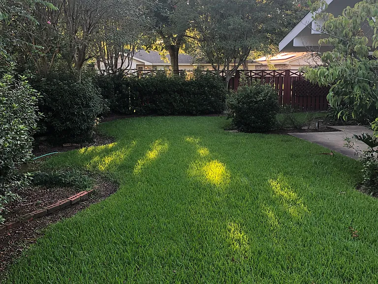 4233 Willow Oak — Photo 13