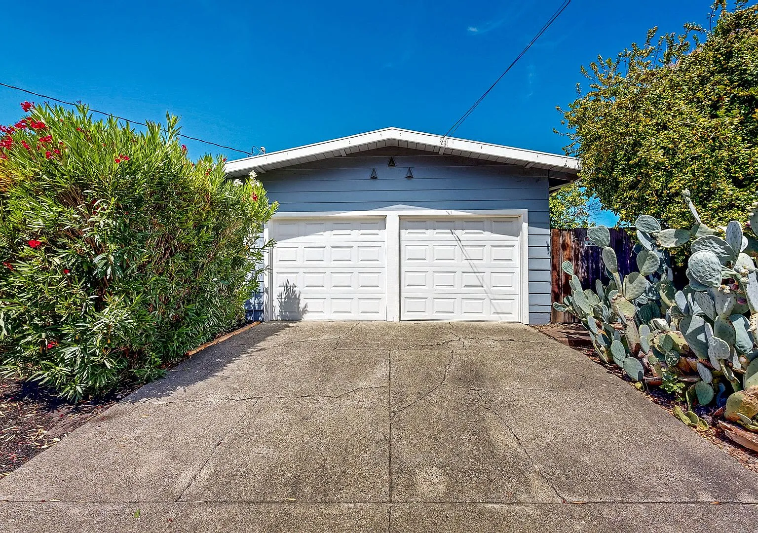 Gorgeous Three Bedroom Two Bath Bennett Valley Single Story Home — Photo 4