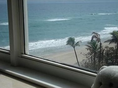 1st image of 2295 S Ocean Blvd APT 801