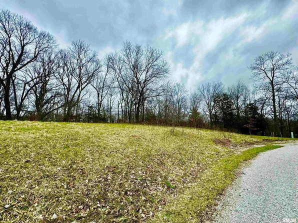 LOT 22 58th St, New Boston, IL 61272