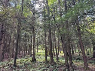 848 Ouaquaga Rd #1, Windsor, NY 13865